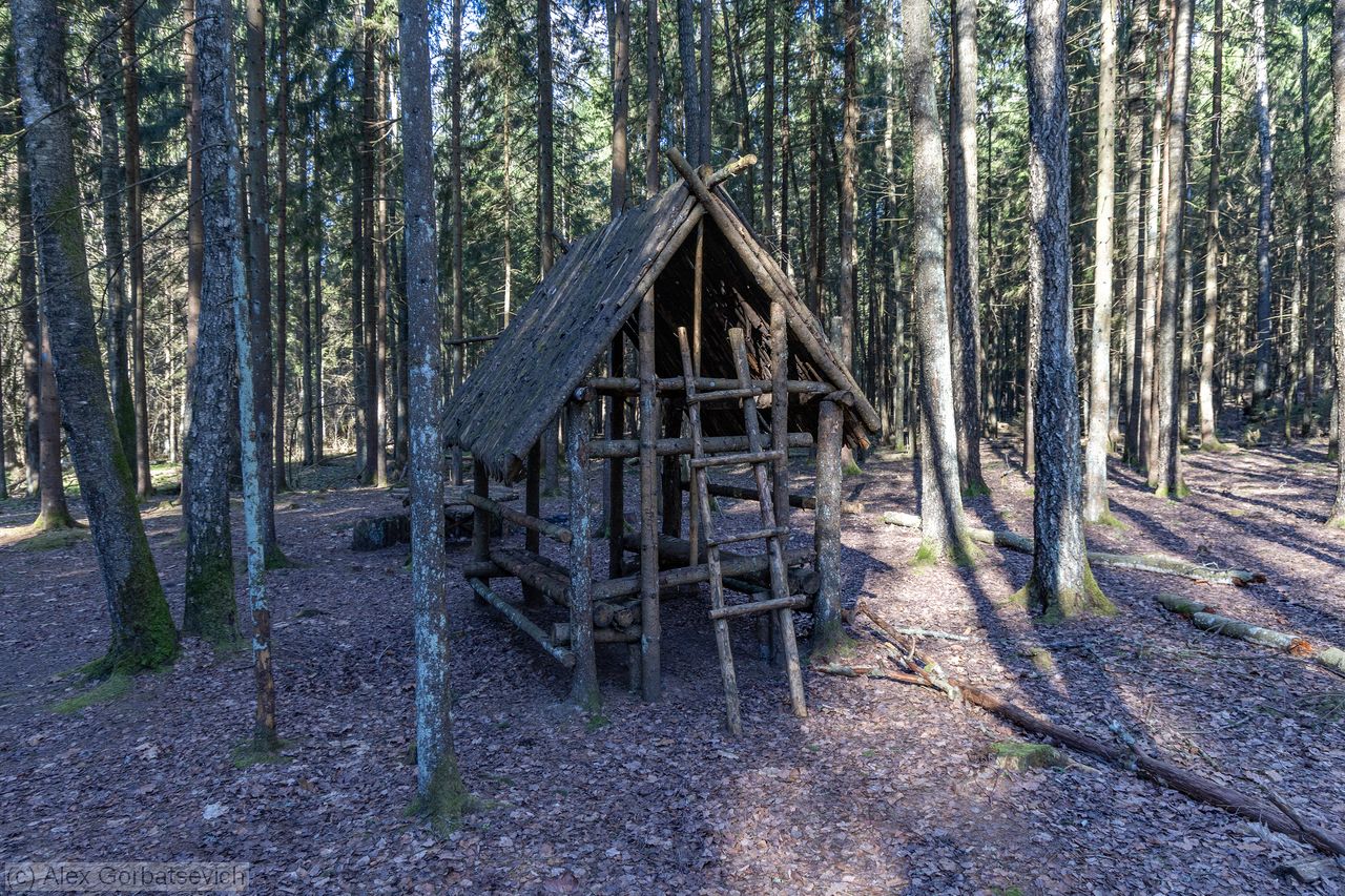 ��������