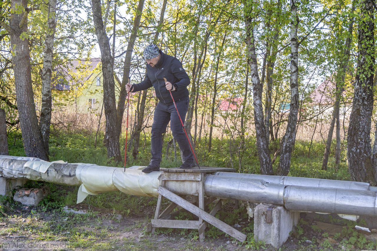 ����������� ��������������