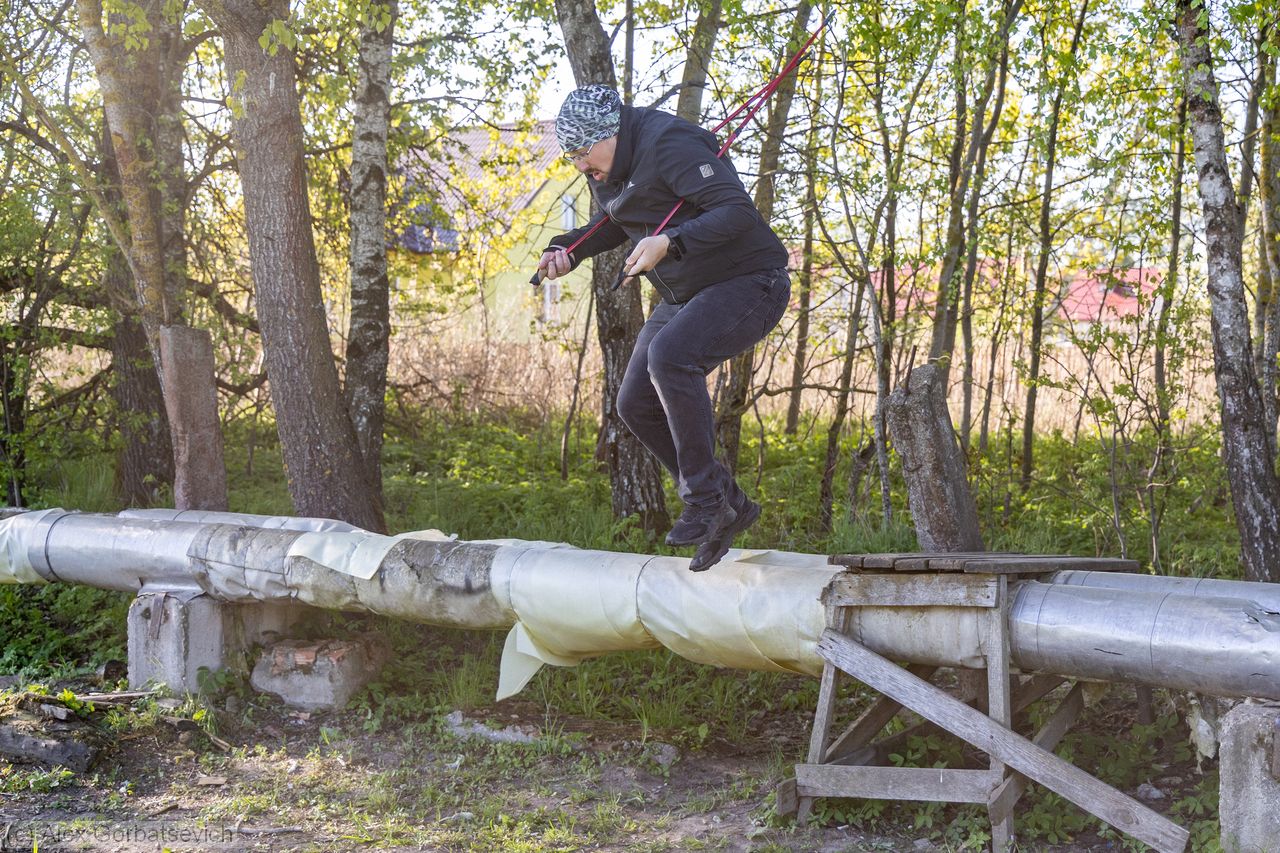 ����������� ��������������