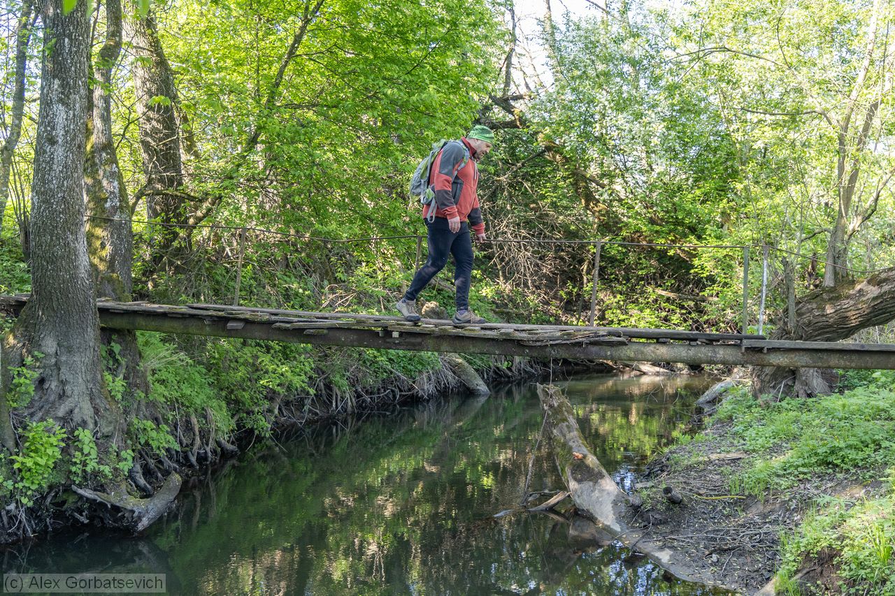 ���� ���� � ��������