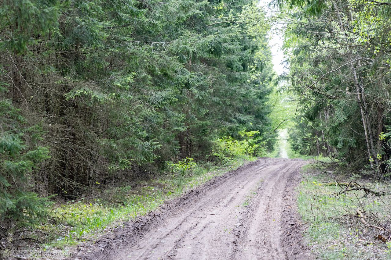 ������ ������