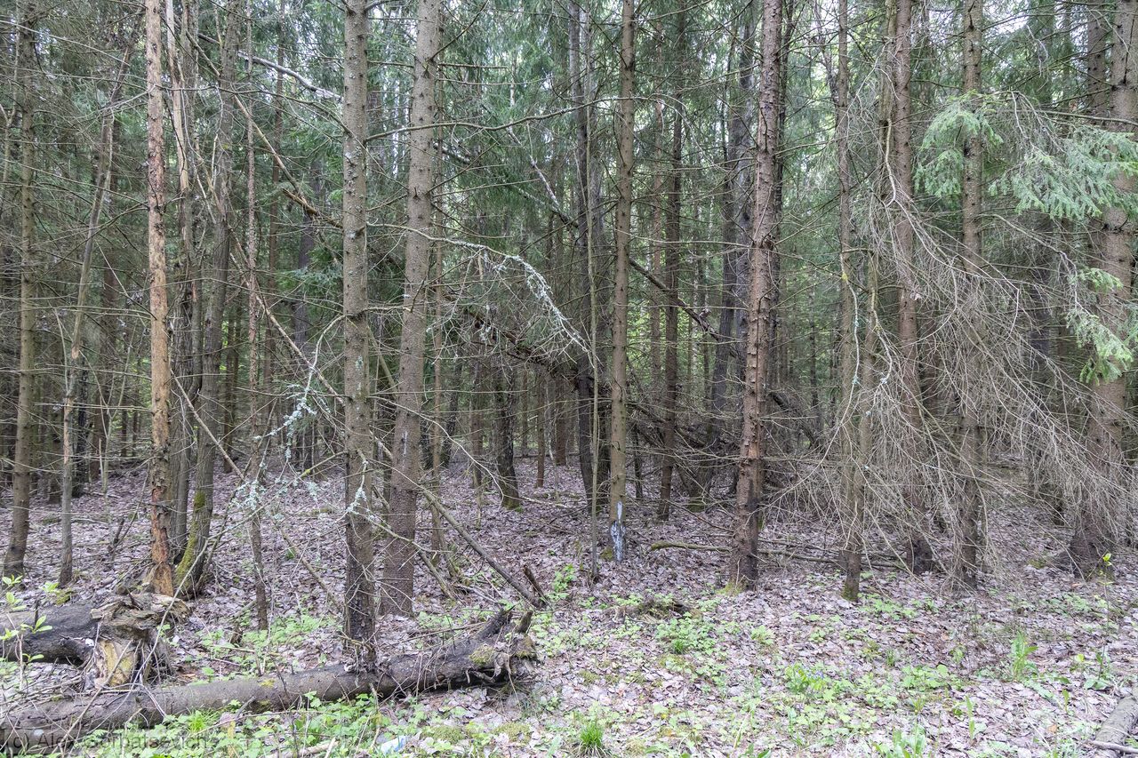 ������ ���