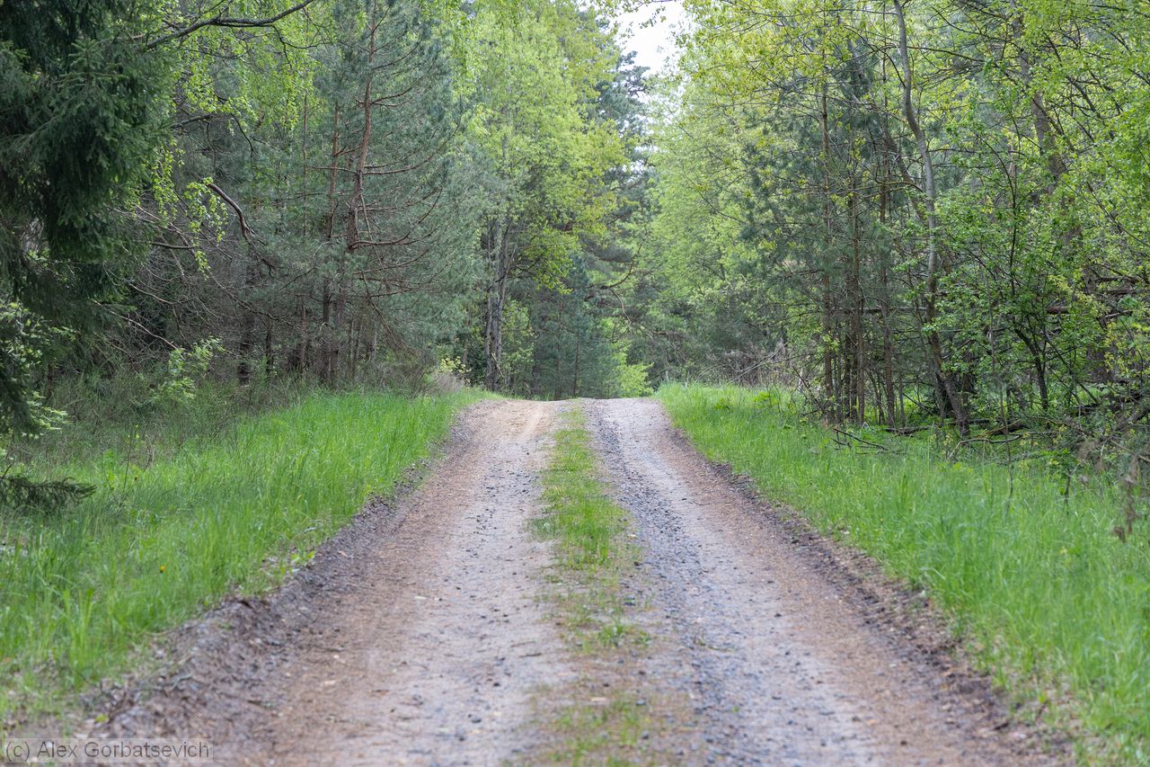 ������ �����