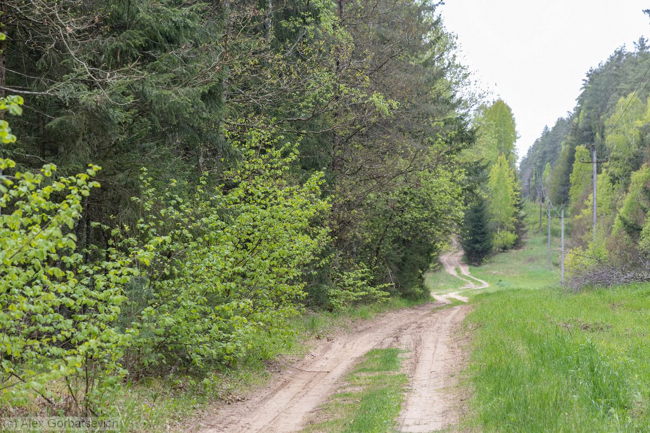 ����� ���