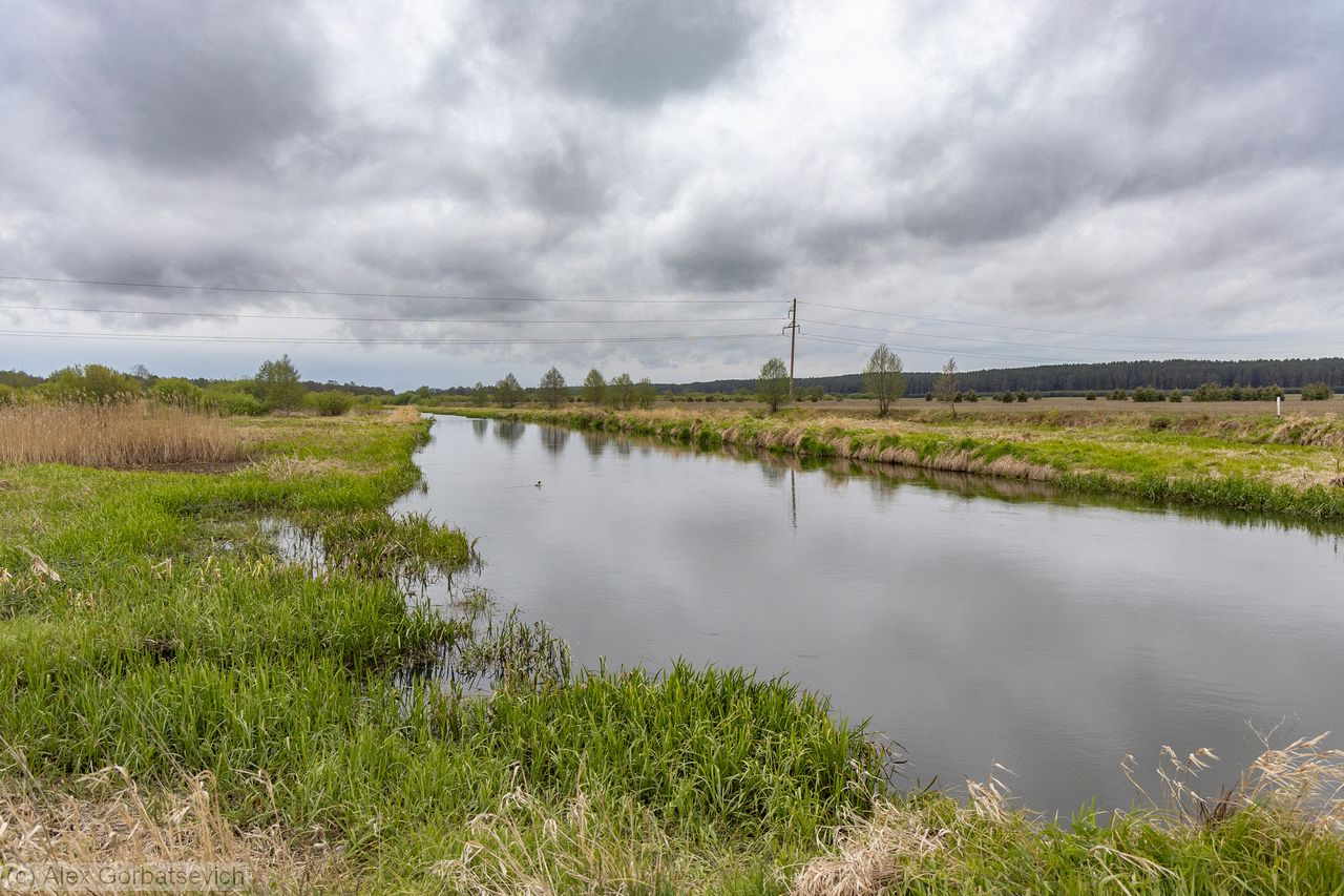 ������ ������ �� �� ��������