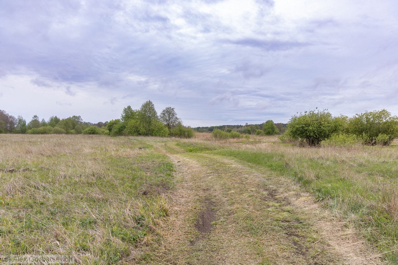 �� �����