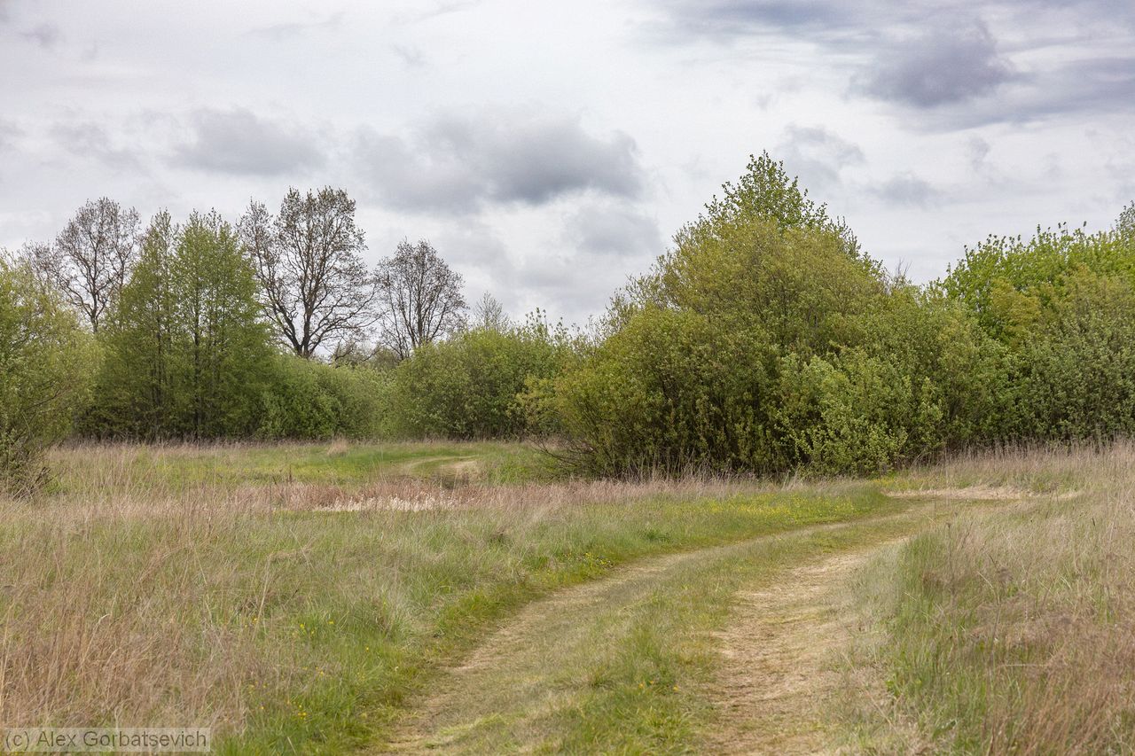 �� �����