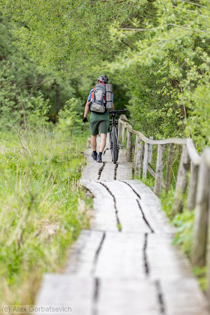 �� �������