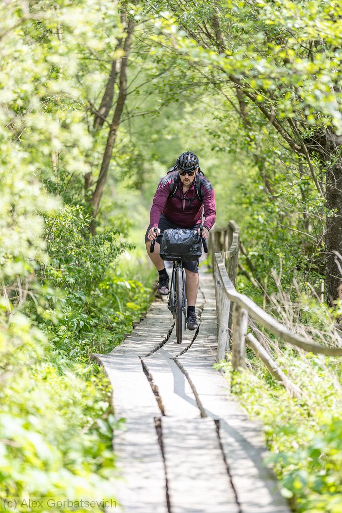 �� �������