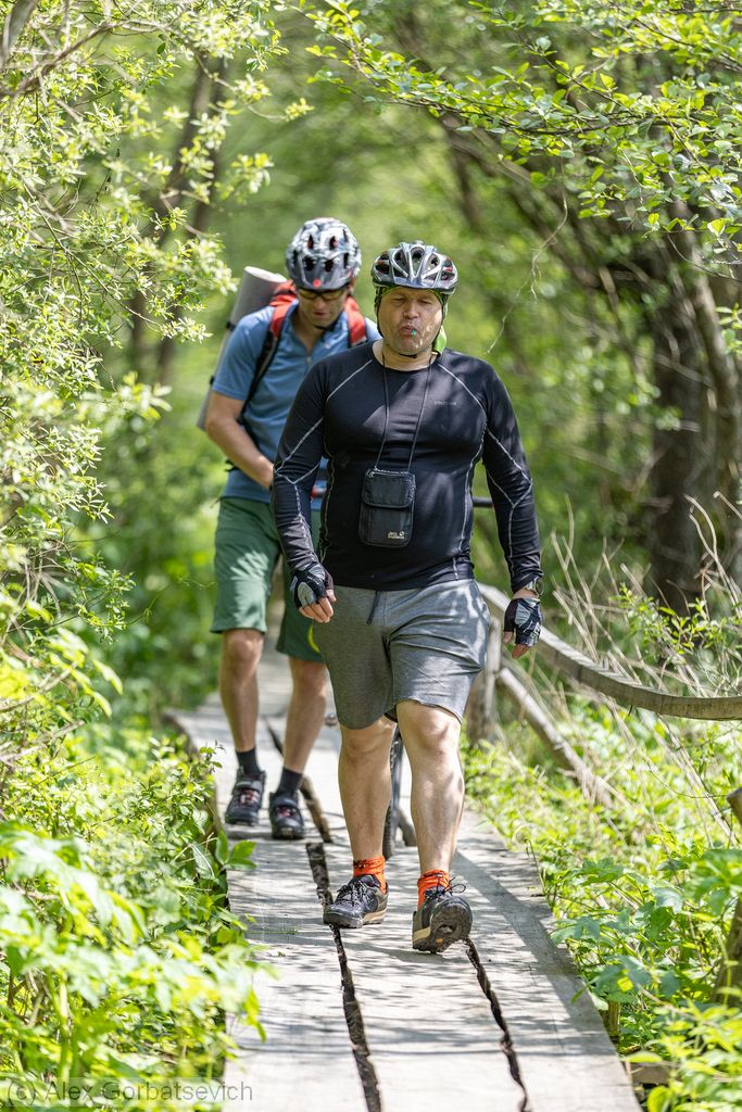 ��� �������