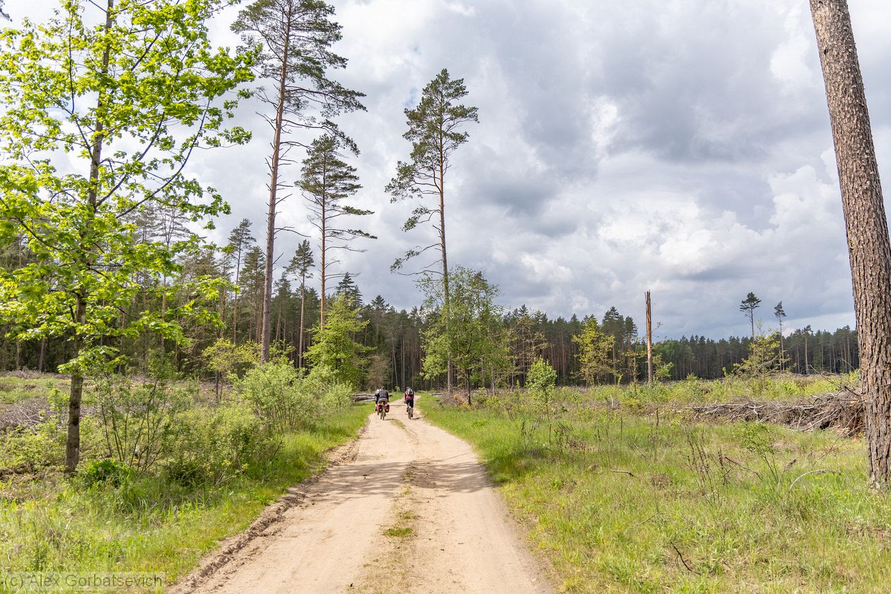 ����� �������