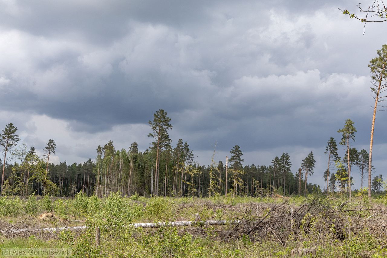 ���� �����������