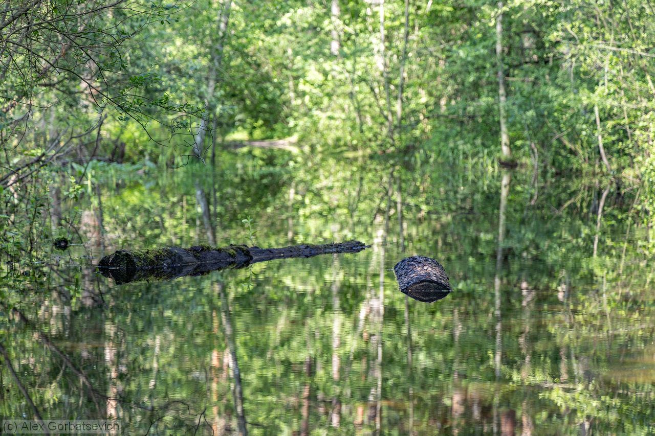 2 ���������