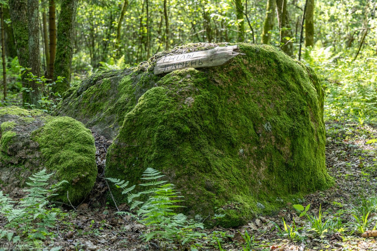 ������ ������