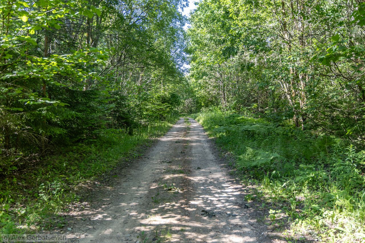 ������ ������