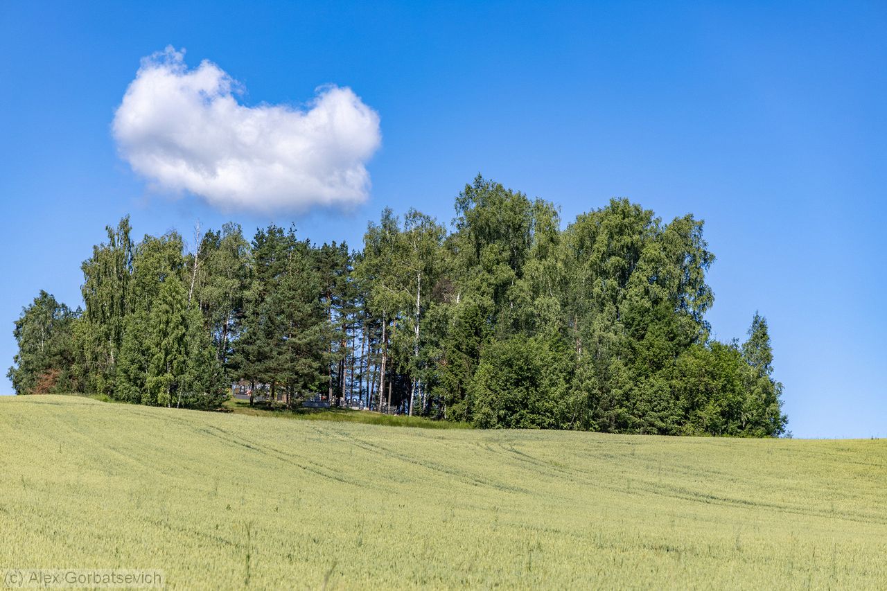 ������ ��� �������� �� ����