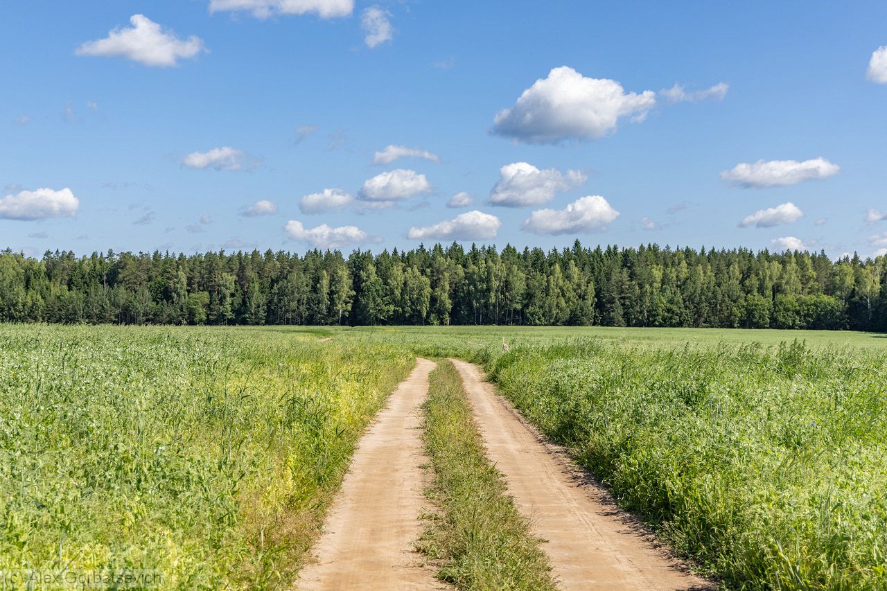 ������� ������