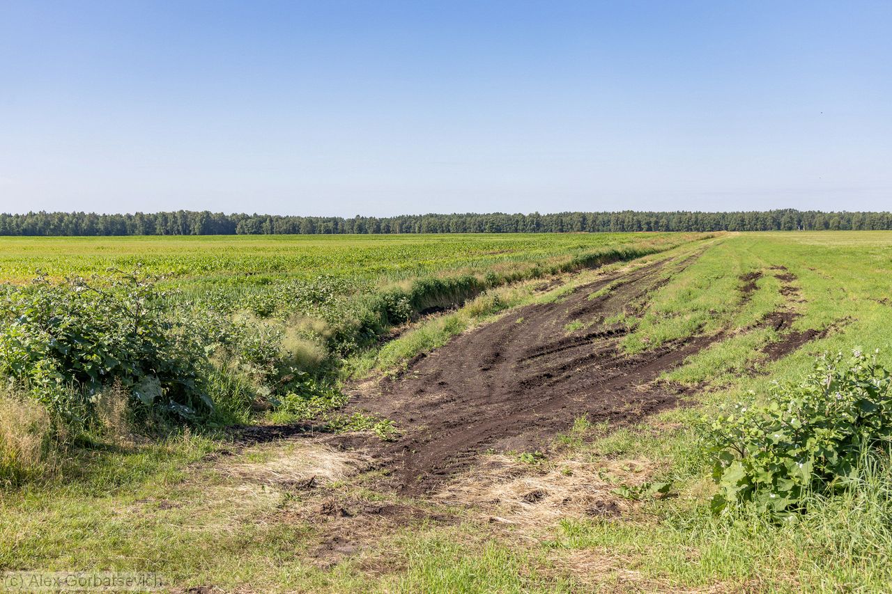 ����� �� �������� ����