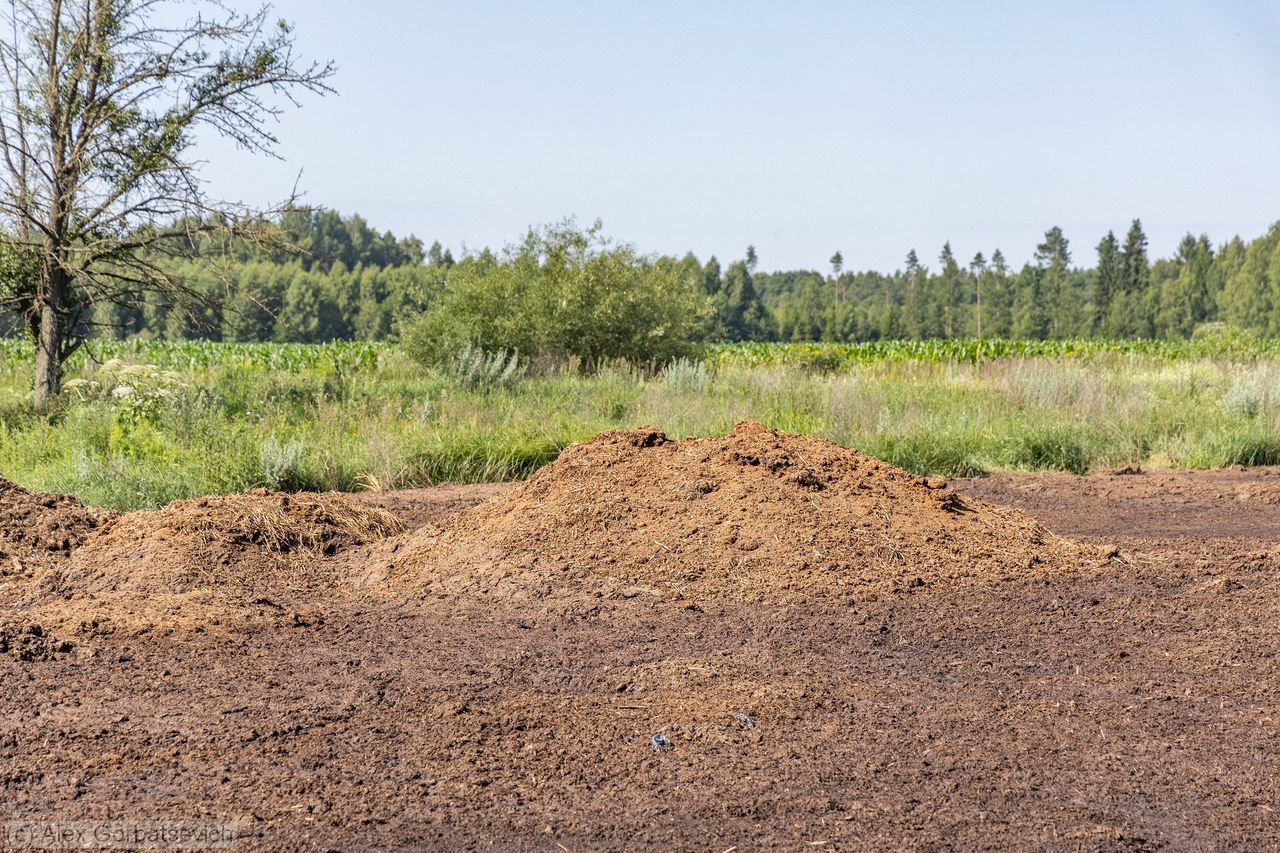 ����� ���...