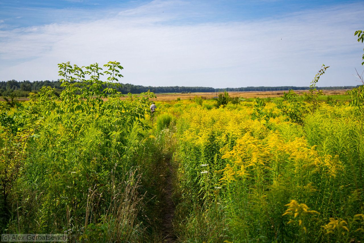 � ��� � �������