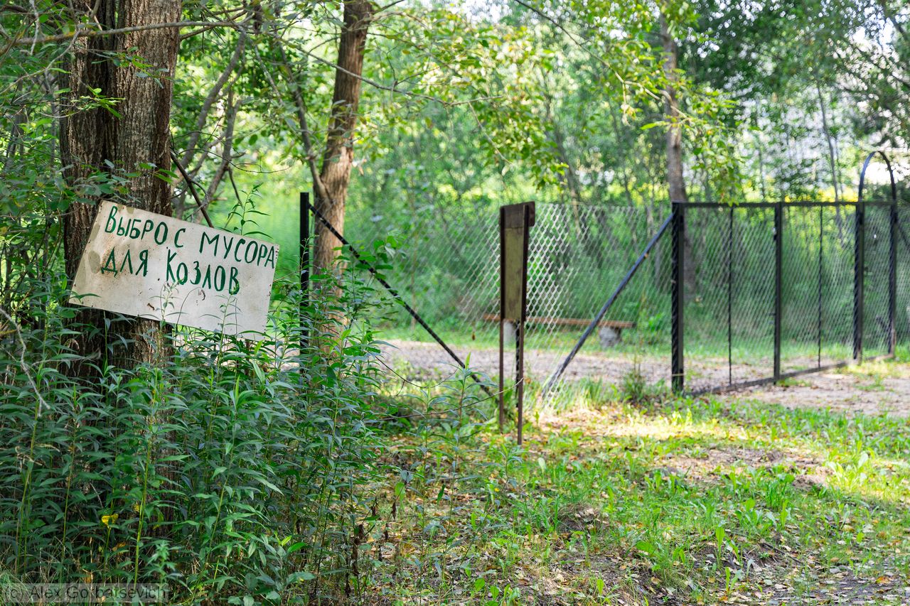 ����� ��������� ������