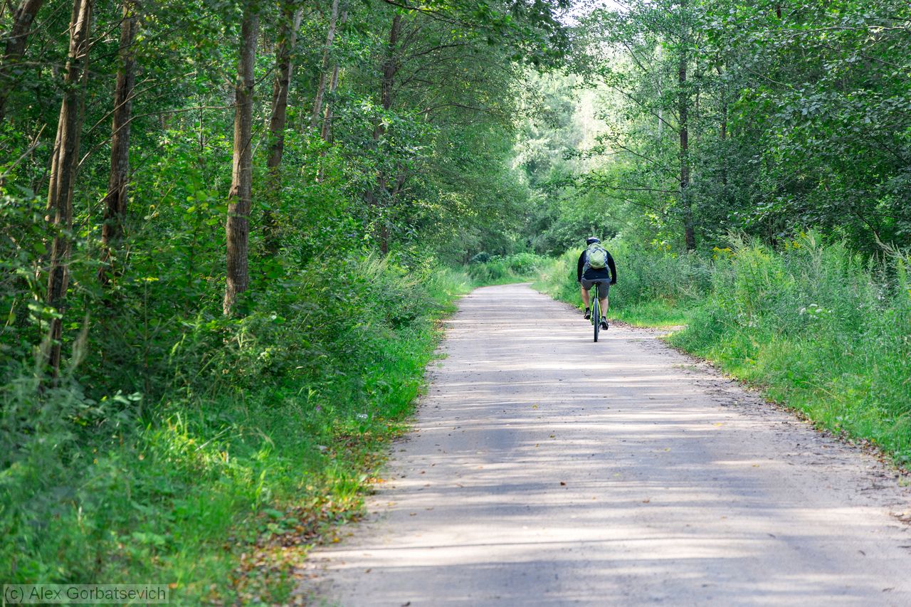 �� ������