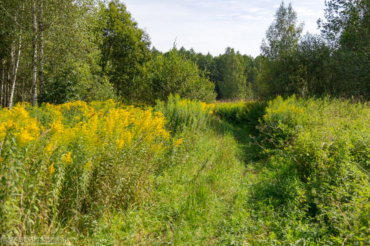 ������ � �������