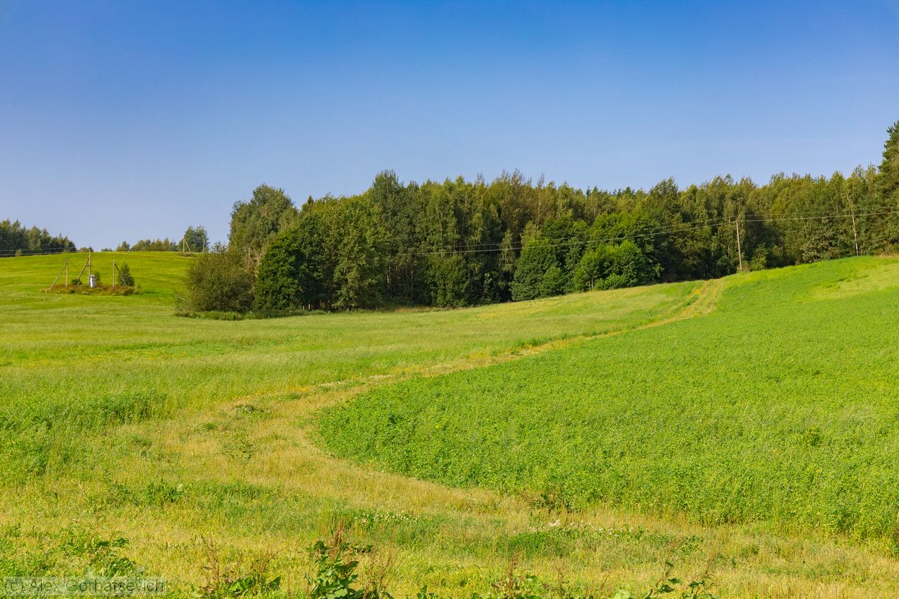 ������� � �����������