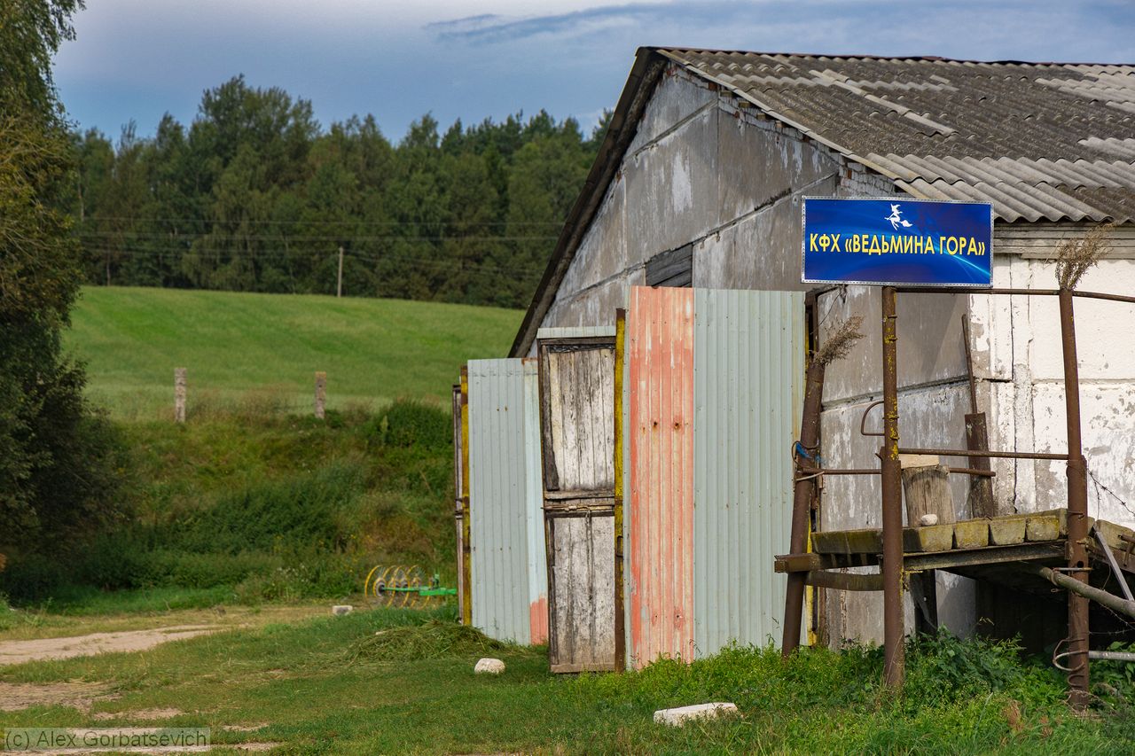 �������� ����