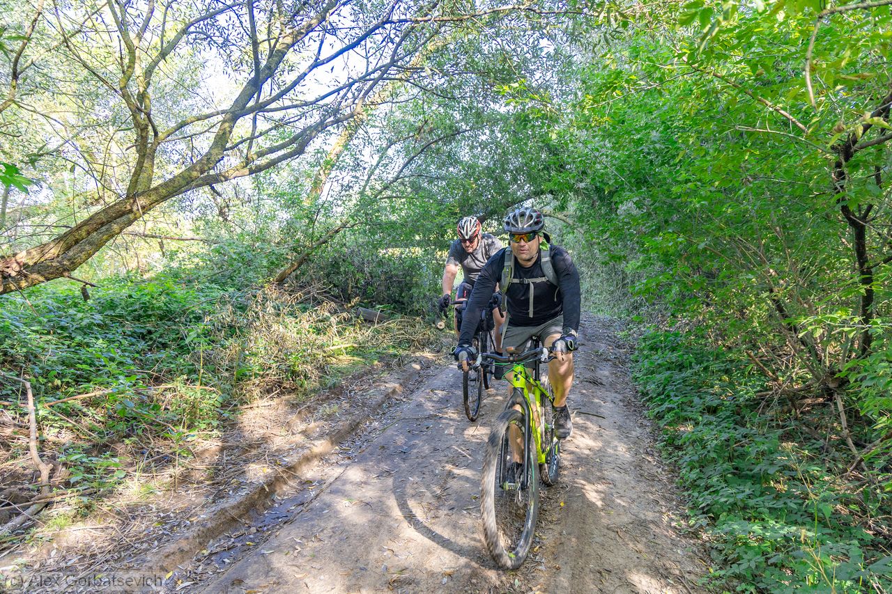 �� �������