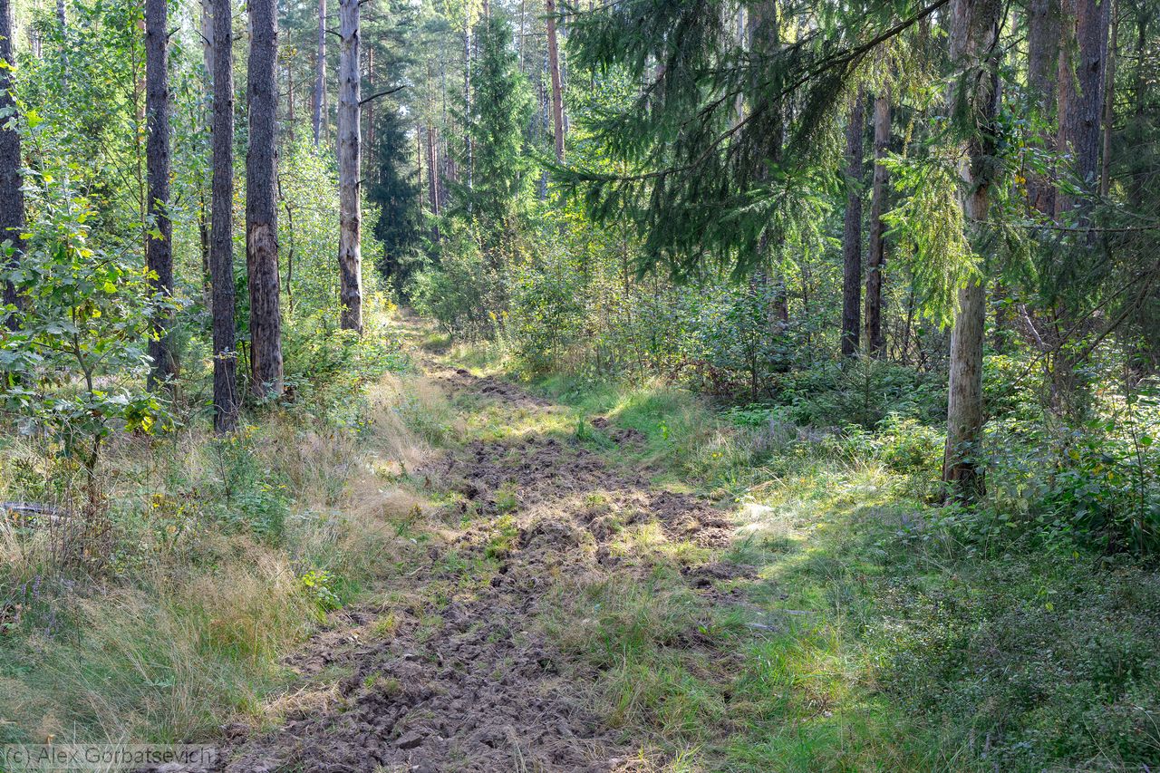 ������ � ����