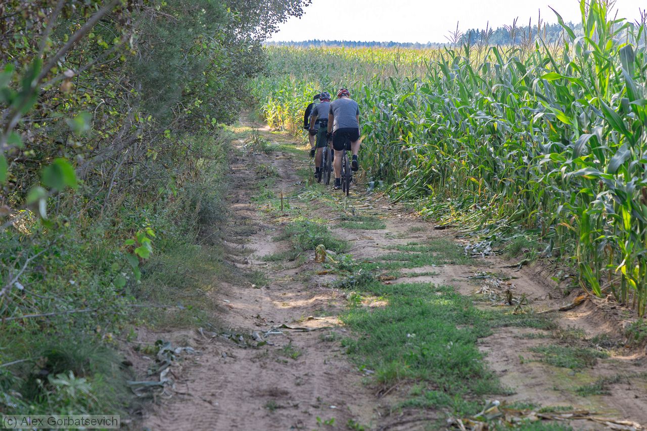 �� ��������