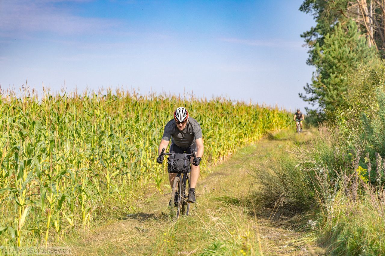 ������� ���������