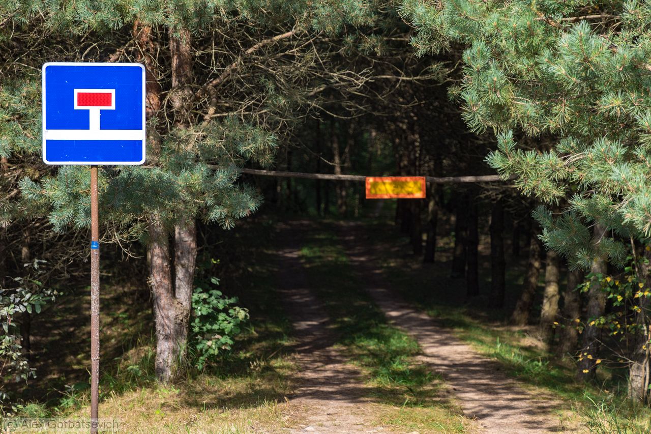 ���� ���