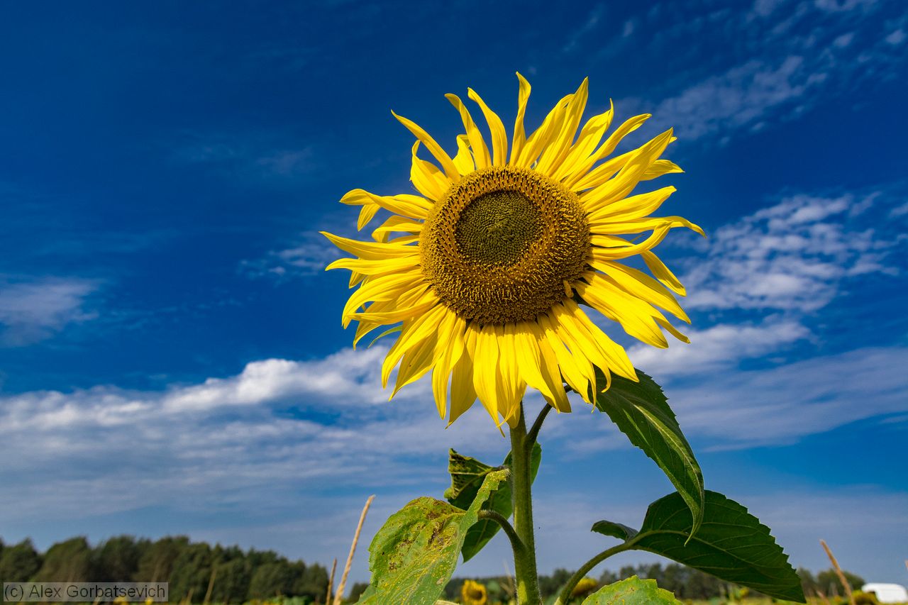 ��������� ��������