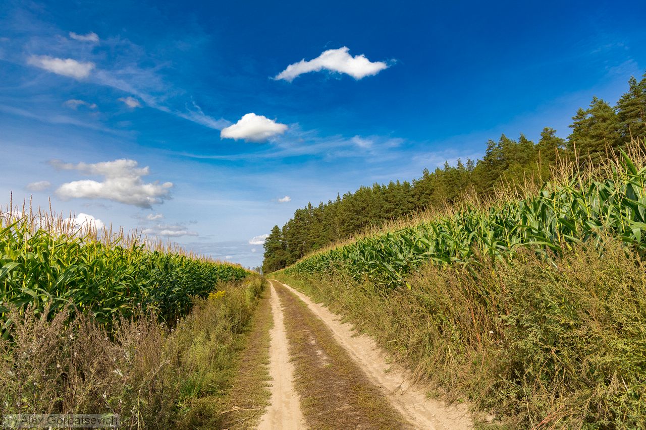 ������� ������