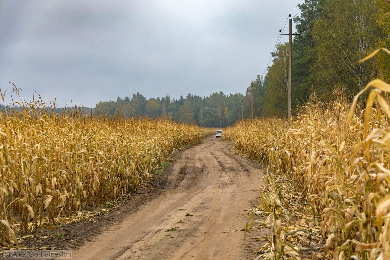 ������ ����� ����