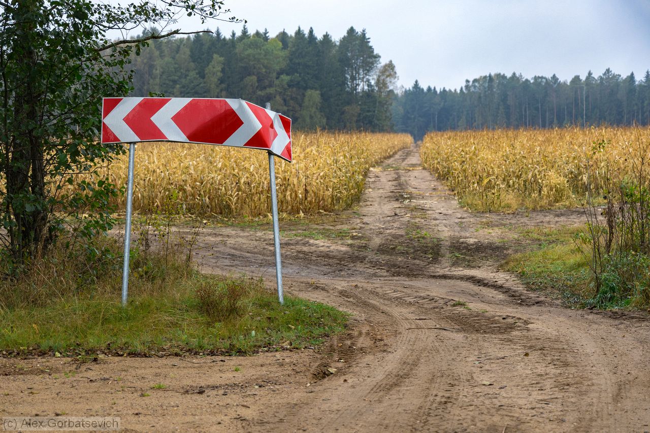 ����� ����, ����� � ������