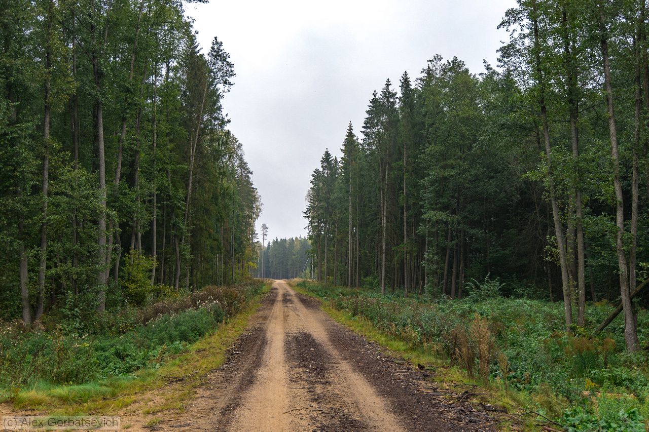 ������ �������