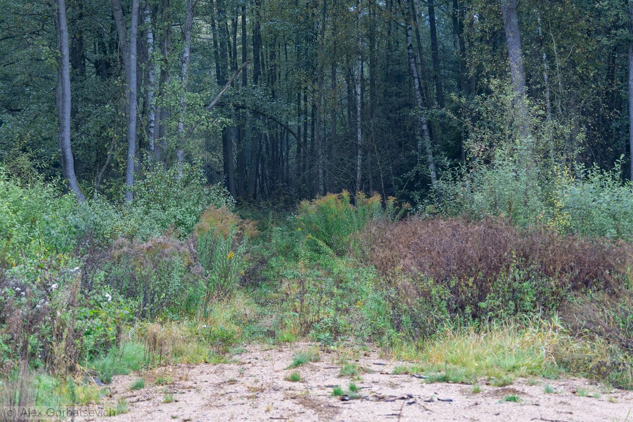 � ��� ��� ���������� ������