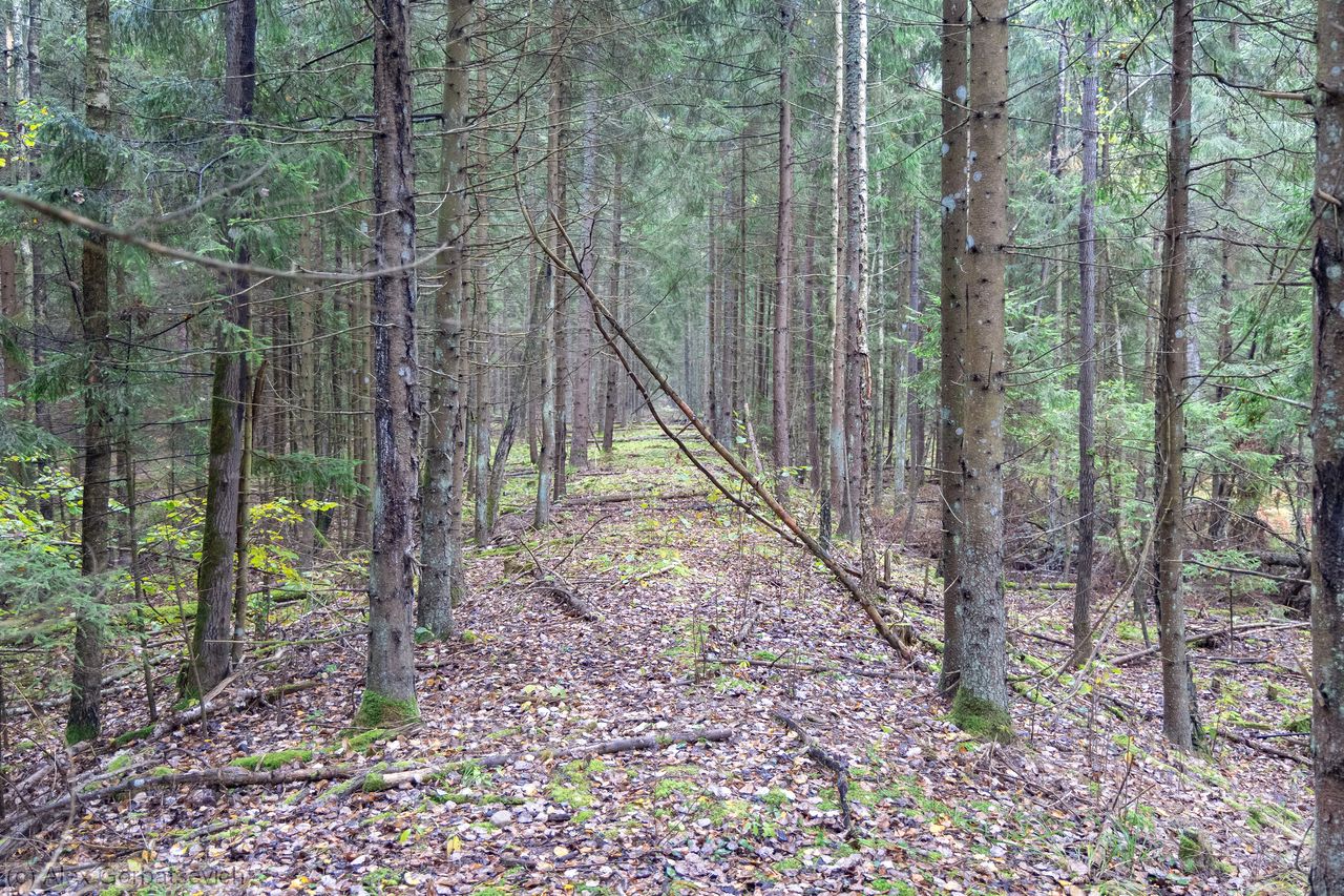 ������� ���