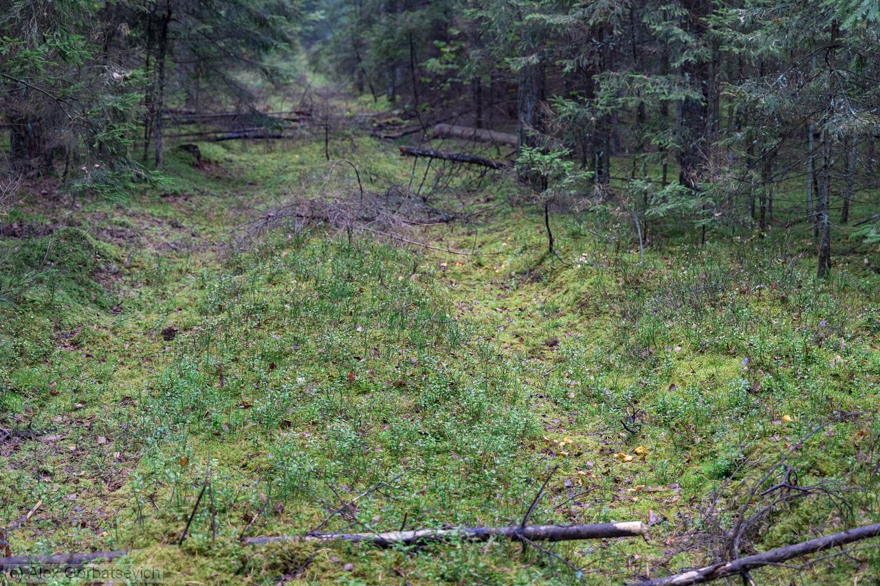 ������ � ����