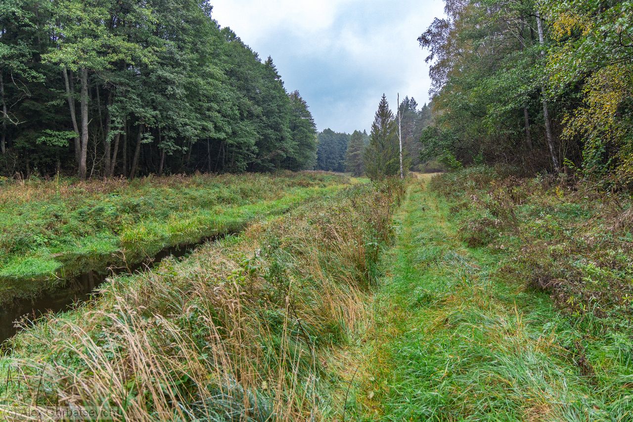 ������ ����� ������