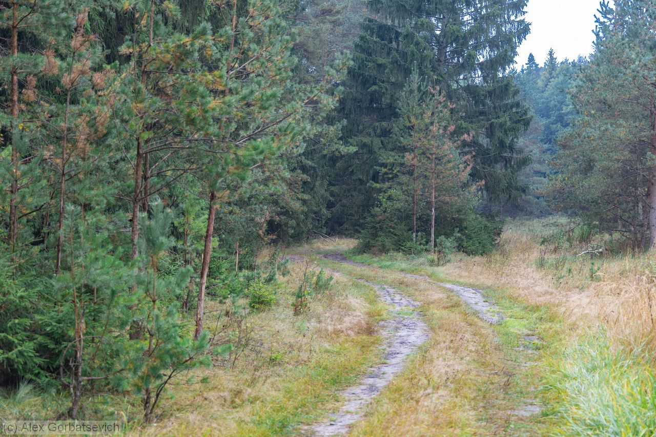 ������ ����������