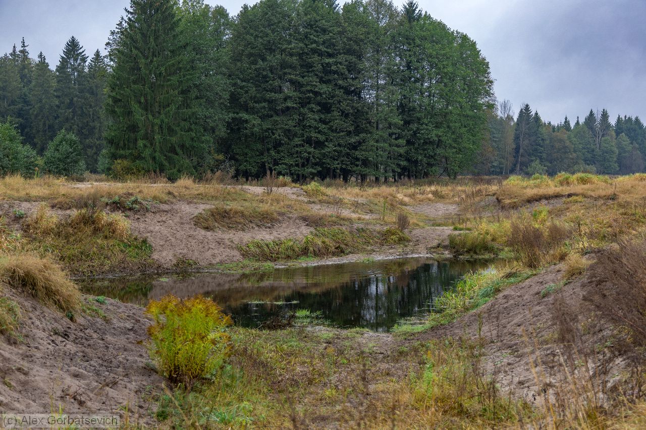 ����� ��� �����