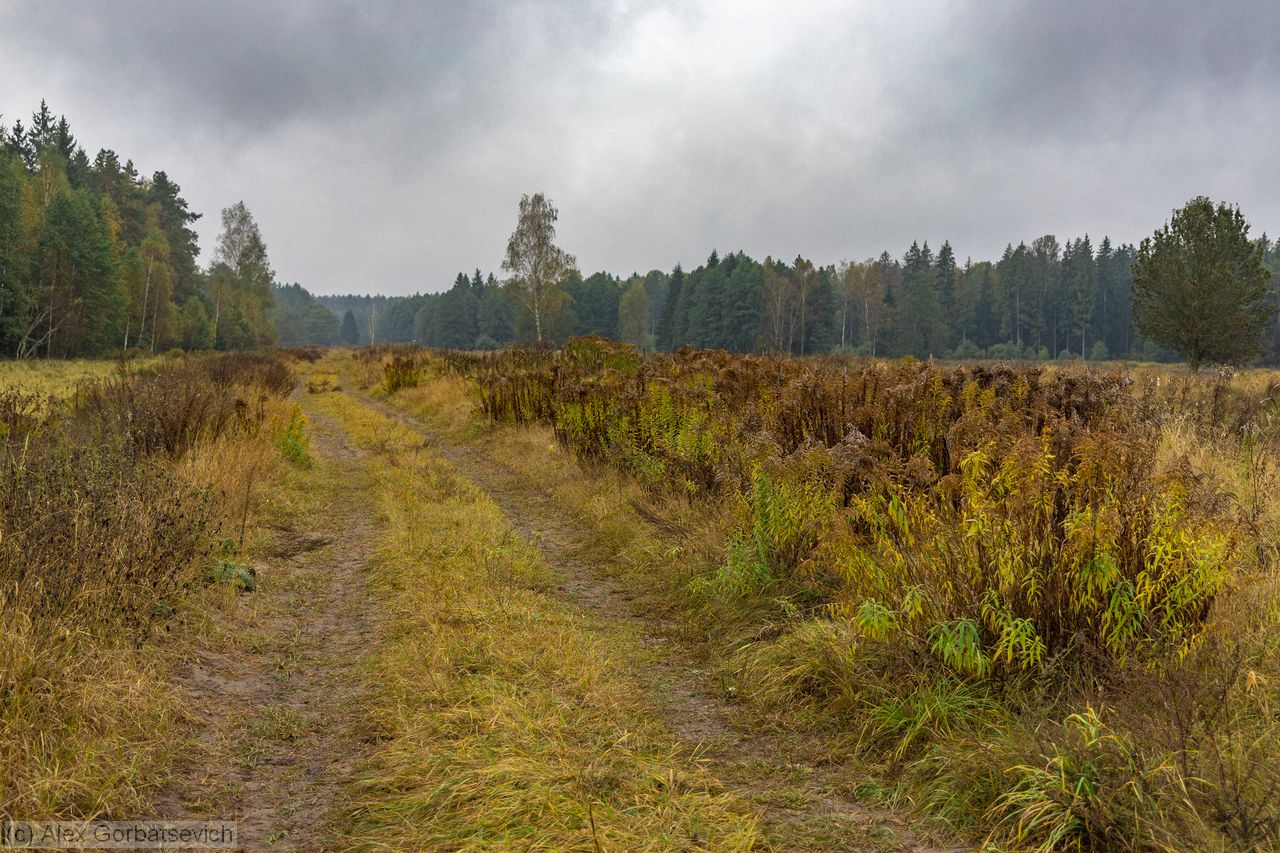 �� ����������