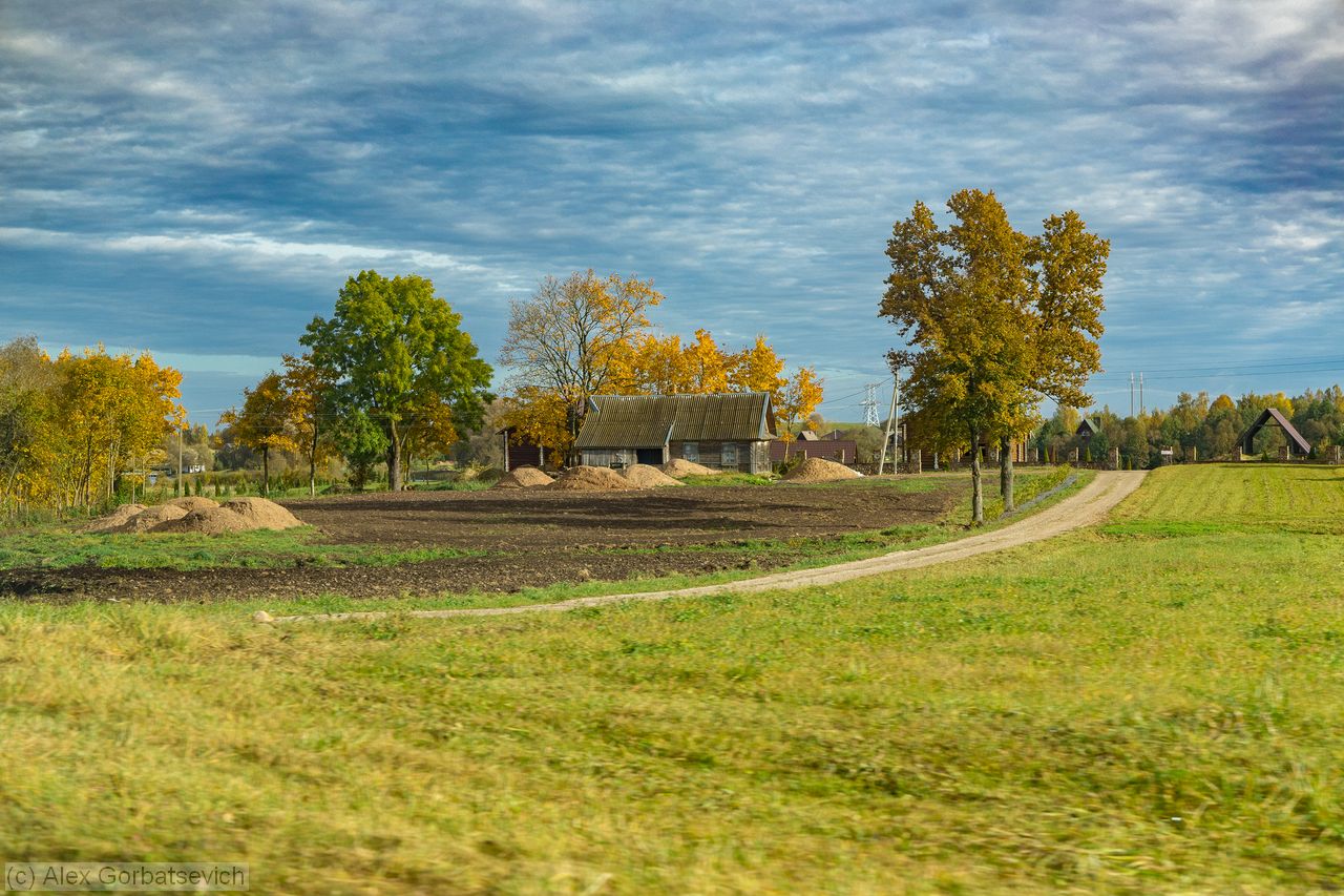 ����� ���������