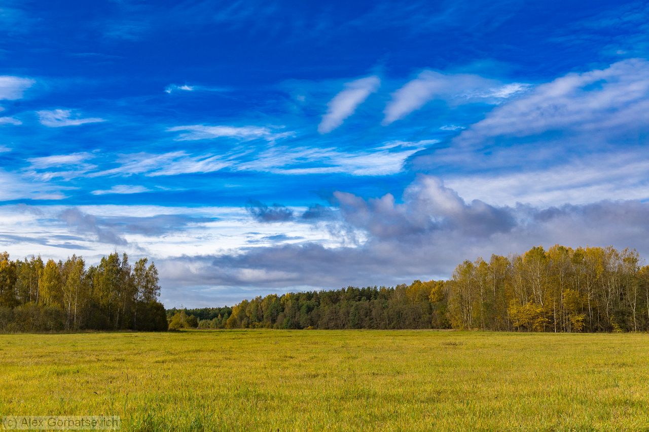 �������� ������