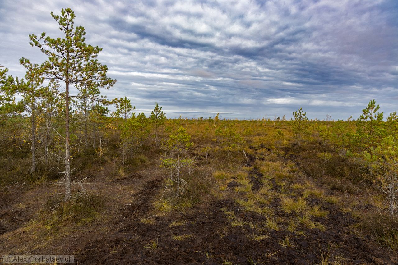 ������ �����