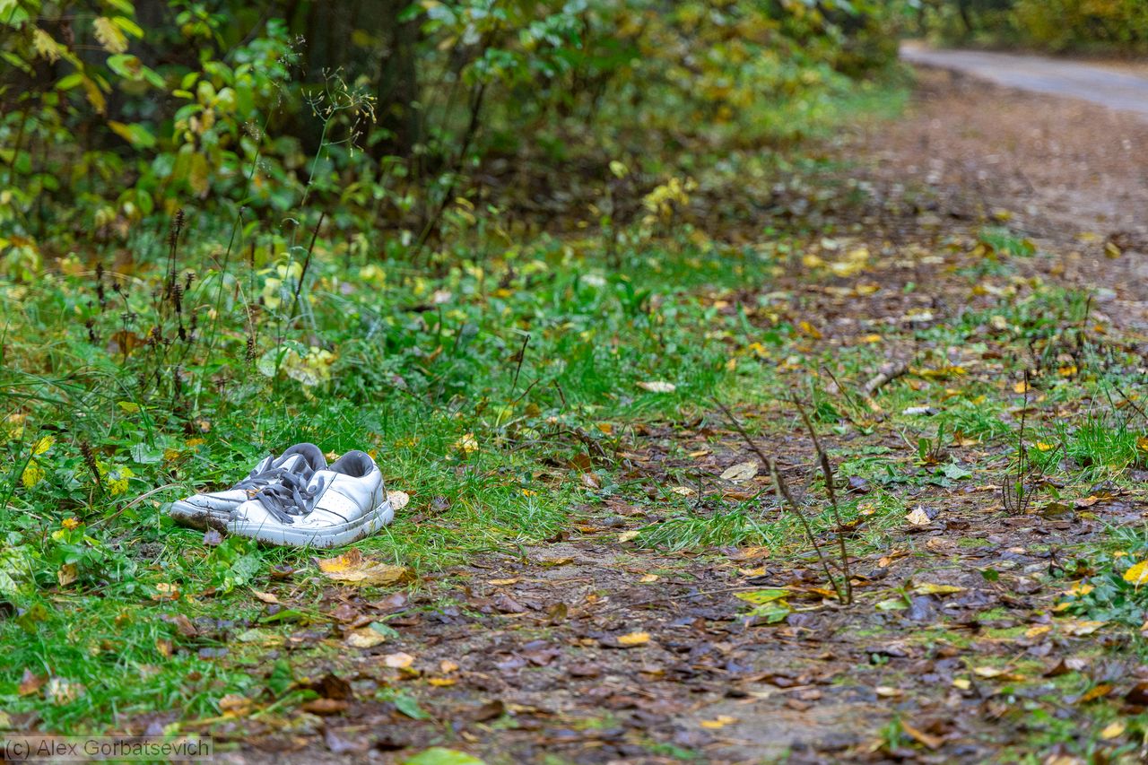 ������ ���...